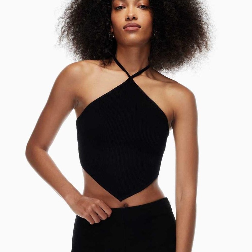 Aritzia Wilfred top